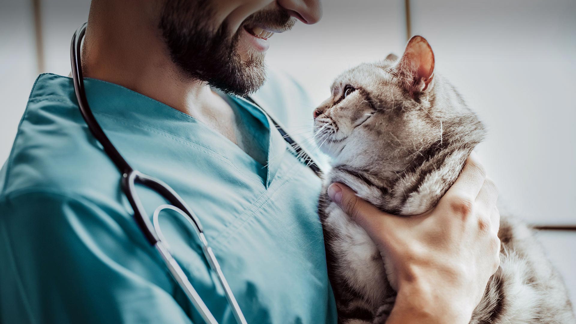 Çeltikçi Veteriner